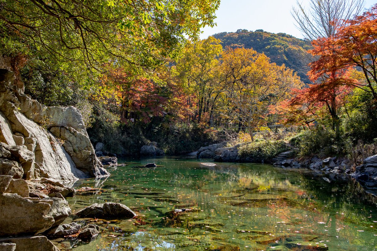 Yuji Shibasaki Photo Pa Twitter 嵐山渓谷の紅葉 埼玉県嵐山町の渓谷 京都の嵐山にその姿が似ていることから武蔵嵐山 むさしらんざん と呼ばれてます 紅葉の中を突き抜ける東武東上線の嵐山有名撮影地でもパチリ 嵐山町 武蔵嵐山 嵐山渓谷 埼玉県 紅葉