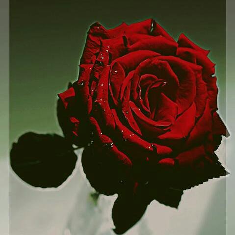 مرام (@zzdvkbro0t9cl08) on Twitter photo 