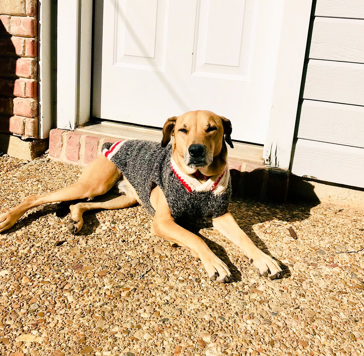 Buddy7514's tweet photo. I declare today officially sweater weather https://t.co/r7h5nxJai7