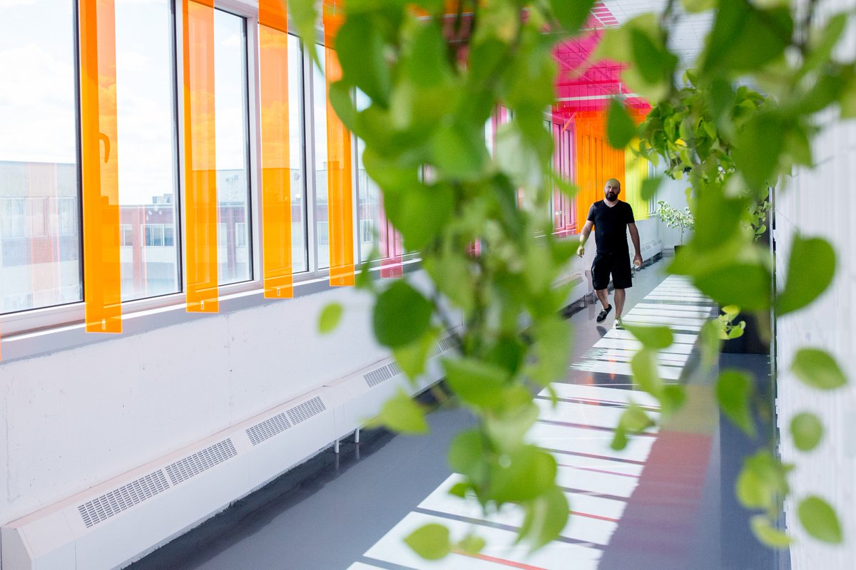 Ubisoft Montréal tweet media