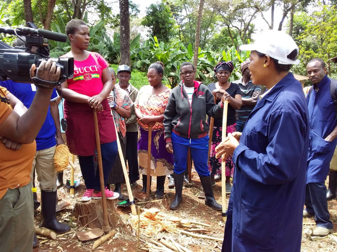 aikande's tweet photo. Ongoing Sustainability Extension Coffee Training in Moshi rural district - focusing on women &amp; youths within #cooperatives set ups. Facilitated by @cafe_tanzania  together with #TCB &amp; #TACRI with support from @ANSAFForum.  #FutureOfCoffee #NationalCoffeeSustainabilityCurricullum https://t.co/v7y2nCvuKq