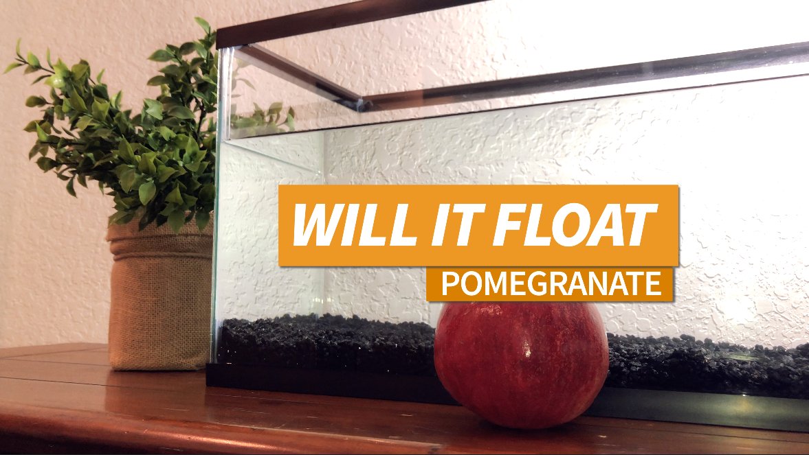 floattimeinc's tweet photo. We put a Pomegranate in a tank to see if they float! Find out if they do!? #pomegranate #floattime #float #willitfloat #floatorsink #fruit #science #videooftheday 
https://t.co/L7T1XZB00A https://t.co/JotDP1w1ta