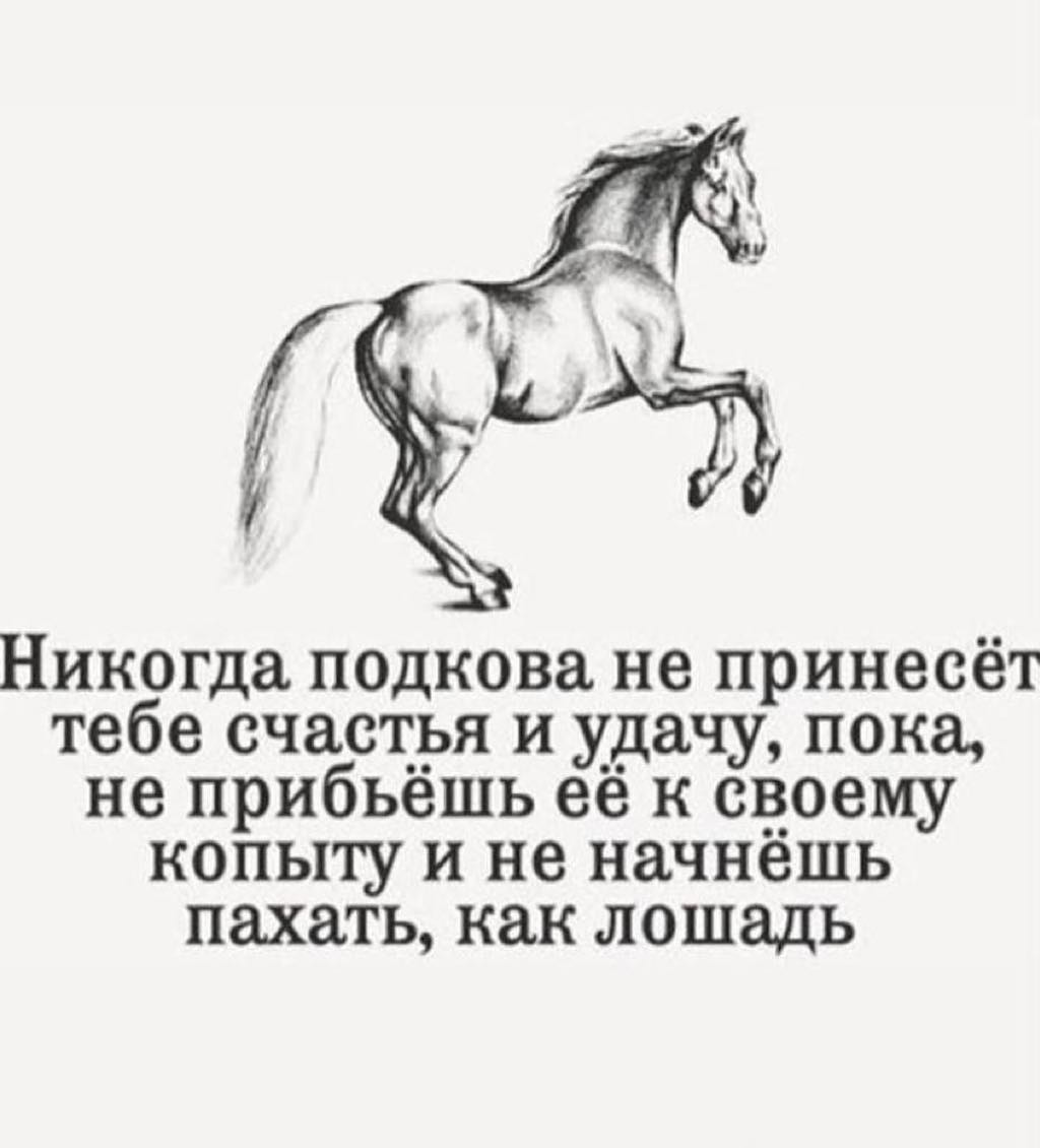 Рустам Минниханов (@rusminnikhanov) on Twitter photo 
