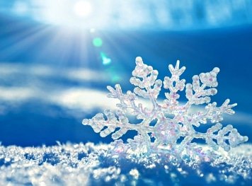 CFABWF's tweet photo. Due to the expected weather conditions we are going to give our team a little extra time in the morning for travel. We will be pushing back opening time to 7:30am. See you then for fresh hot coffee and chicken biscuits! ❄☃️ https://t.co/KX14NMvdVz