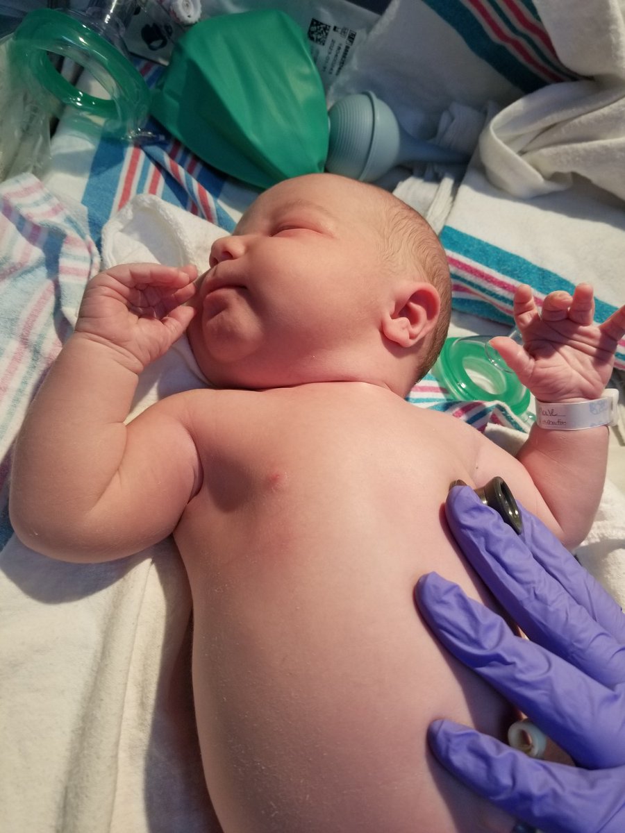 timdgraham127's tweet photo. Introducing Owen Dean Graham. 9 lbs 9 oz and 21" long. #futuretightend #futureracecardriver https://t.co/QFN70fL9qu