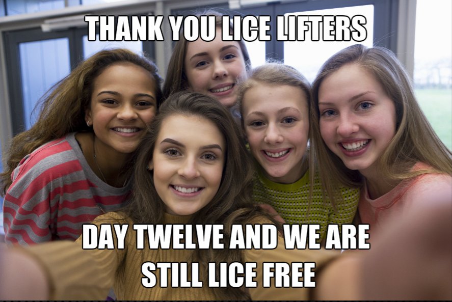 LiceLiftersCF's tweet photo. #LiceLifters #LiceFree #LiceLiftersProducts #AllNatural https://t.co/67FGEah6hX