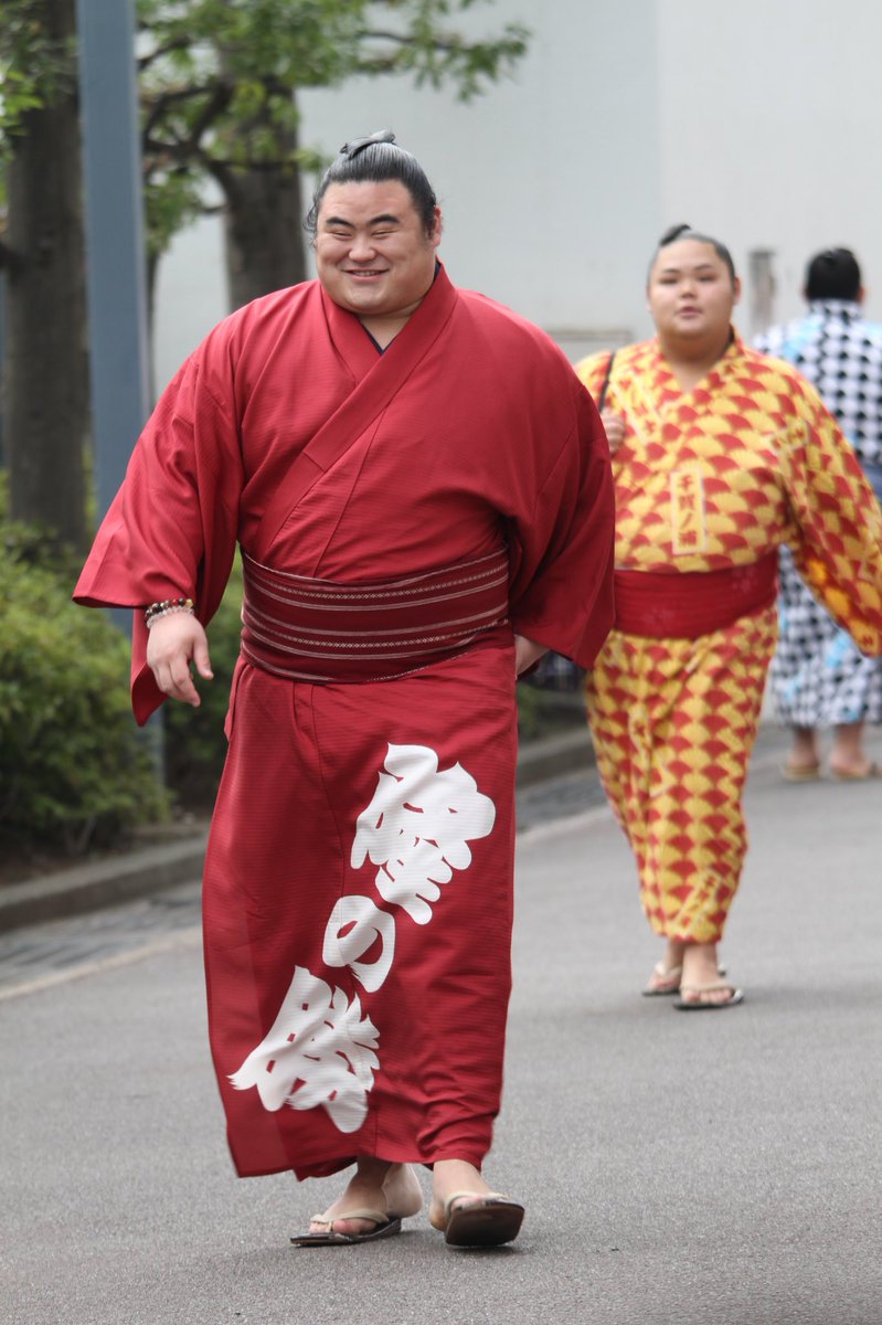 たかの しょう 相撲