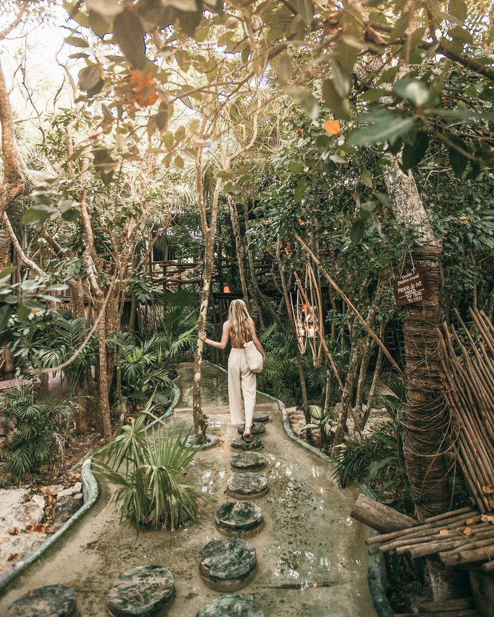 Azulikofficial's tweet photo. There is no goal at the end of the road, the prize itself is to enjoy the journey. @mayaspatulum
.
.
#azulik #azuliktulum #nature #trees #treehouse #caribbean #tulum #tulummexico #mexico #jungle #architecture #mayaspa #mayaspatulum #repost 📸 @marenborander https://t.co/amr2x83efj
