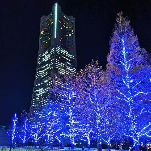 madk's tweet photo. みなとみらいが一番美しくなる季節が始まりました✨

#イルミネーション
#夜景
#クリスマス
#みなとみらい
#グランモール公園 
#横浜ランドマークタワー　
#ランドマークタワー
#横浜夜景
#みなとみらい夜景
#leica https://t.co/nRE3kvleE4 https://t.co/lher19m5iM