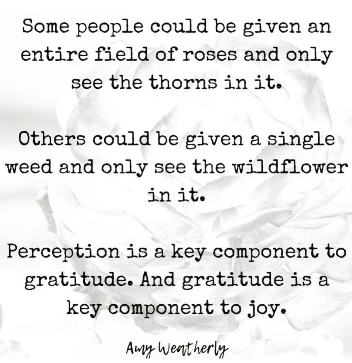 KlibbraK's tweet image. 