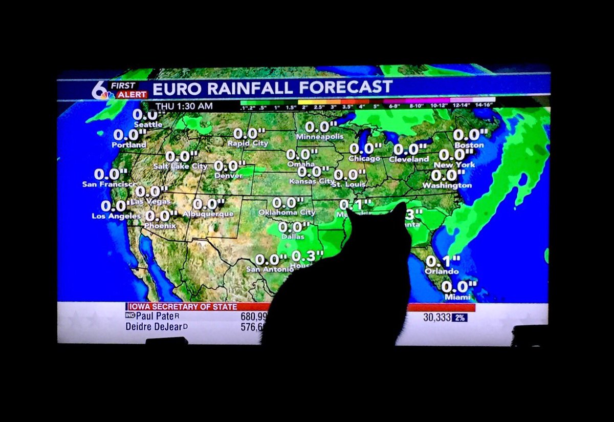 llclark22's tweet photo. Gotta leave this to the professionals! @RustyLord and @MattSerweKETV , what kind of system is this coming up from the Gulf?! #CatFront https://t.co/ULYSjNBEUP