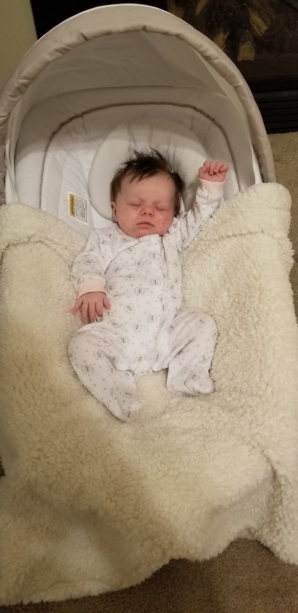 Bill Murray tweet media