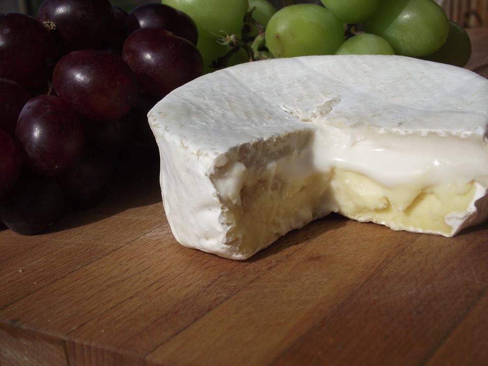 We can't wait to get our hands on some Terroir Cheese this weekend at the West Coast Christmas Show &amp; Artisan Marketplace at Tradex - Trade &amp; Exhibition Centre in Abbotsford! 🧀