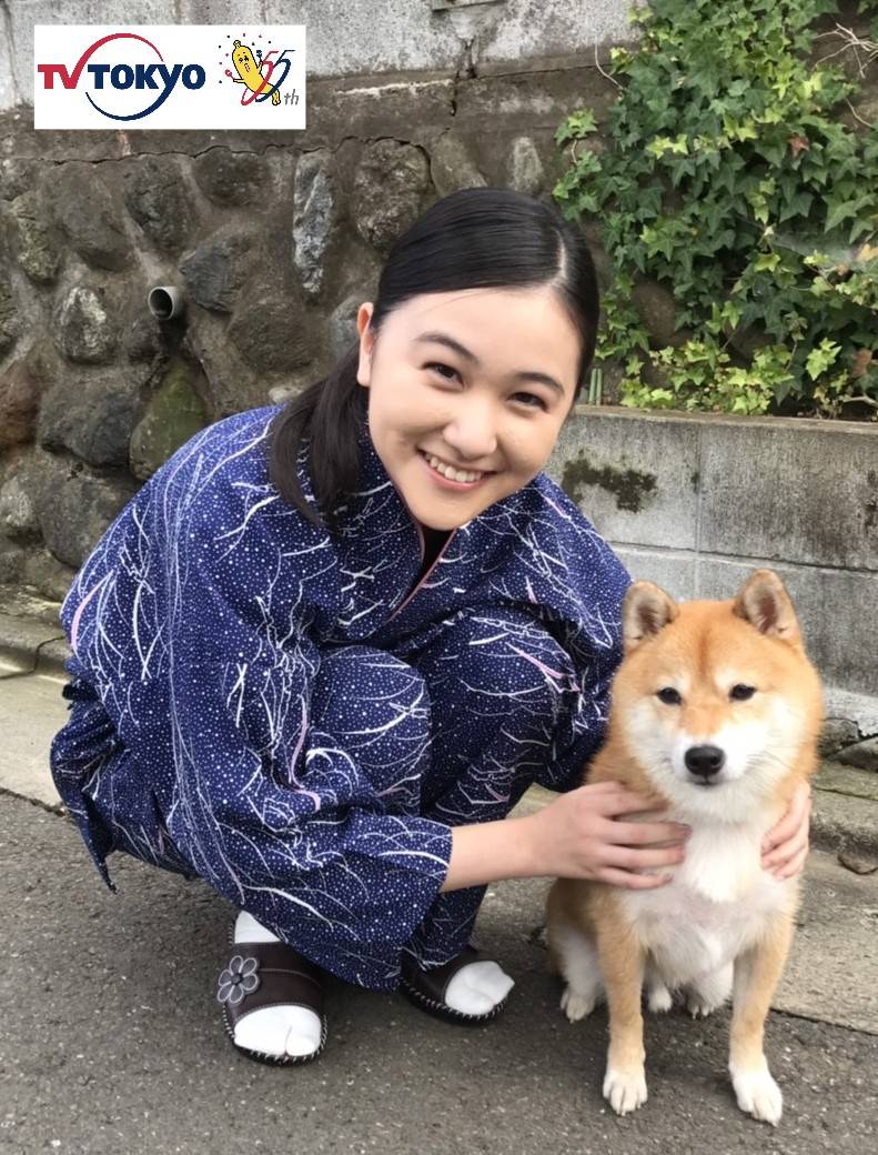 ナンバmg5の松の犬種は柴犬で名前に性別は 3匹が演じ分けと判明 Mimiful News