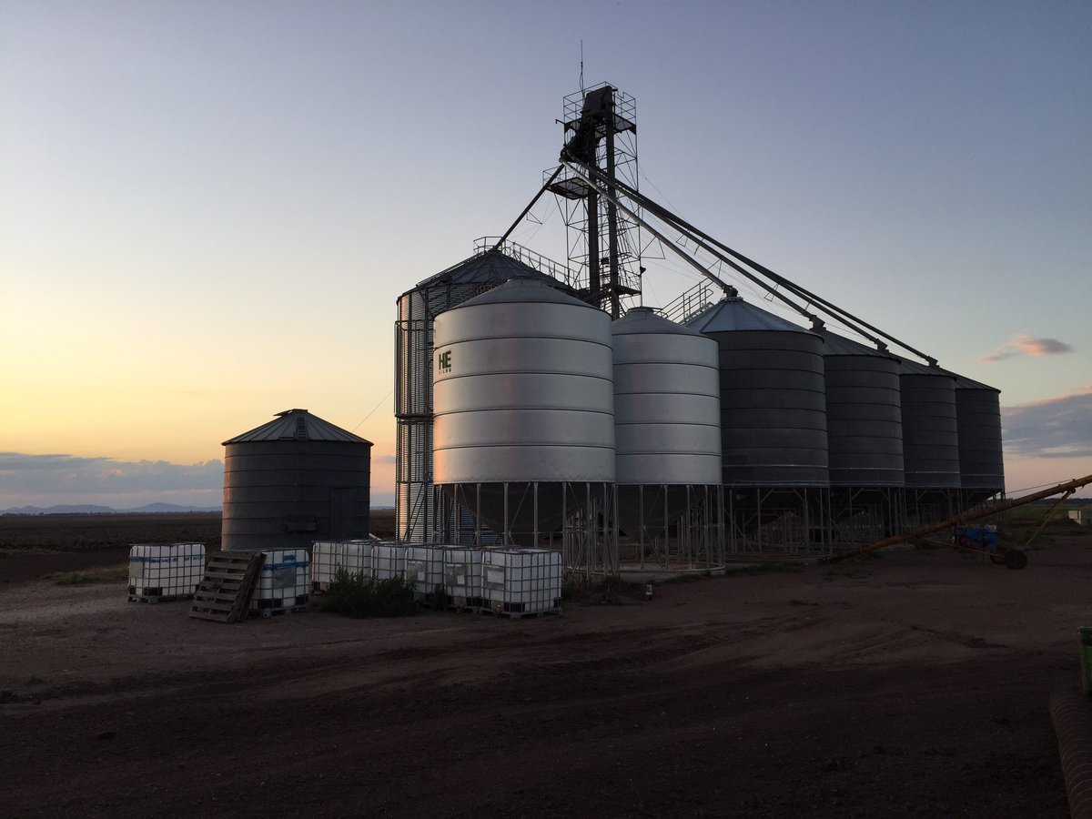 JonDadd_Ag's tweet image. With headers stripping winter cereals, consider carefully your best crops to use for next years seed. Prepare storage’s, clean up, dust out with DE, grade out and protect from stored grain pests with #ConservePlus  #EveryKernelCounts conserveonfarm.com.au