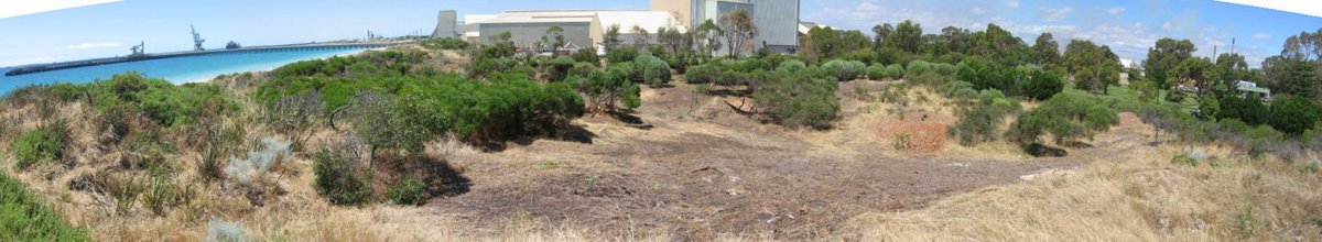 Strata_Green's tweet photo. People and the sea.
 Almost fifteen years ago, the federal and  Western Australian  Government set up a program - @PerthNRM - to look after not only  the state’s lands and  waters, but the plants and animals that live within them. Read More https://t.co/28QV82gQWW https://t.co/tjfb3WPMiS
