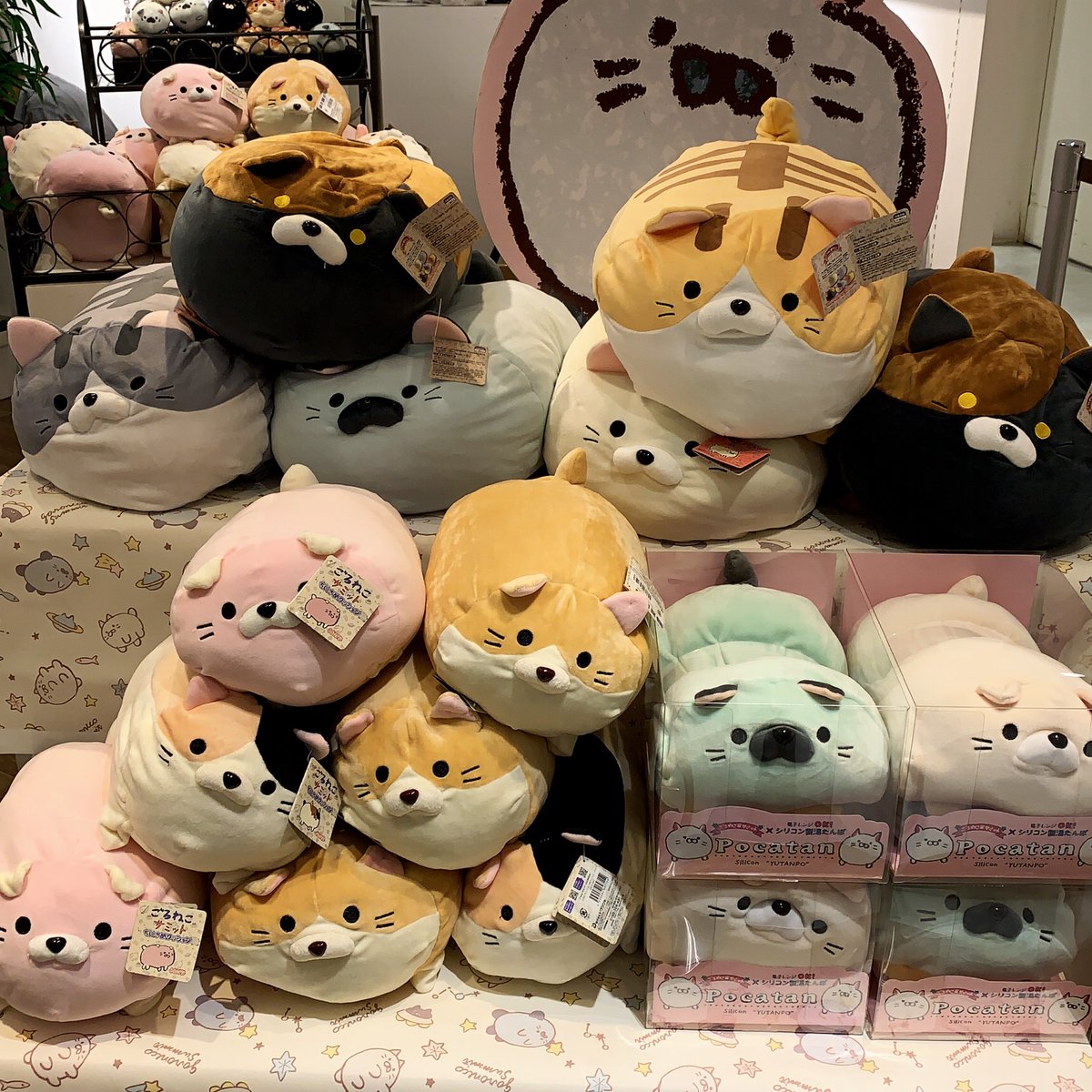 ごろ猫 ごろねこサミット イトウ【公式】 (@goroneco_samit) / Posts / X