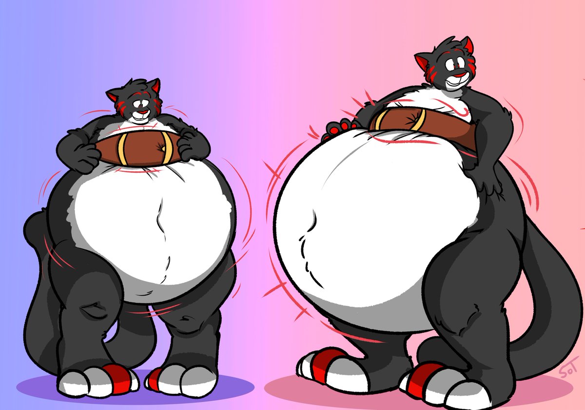 Inflation sequence commimssion for @WindscarCat! 