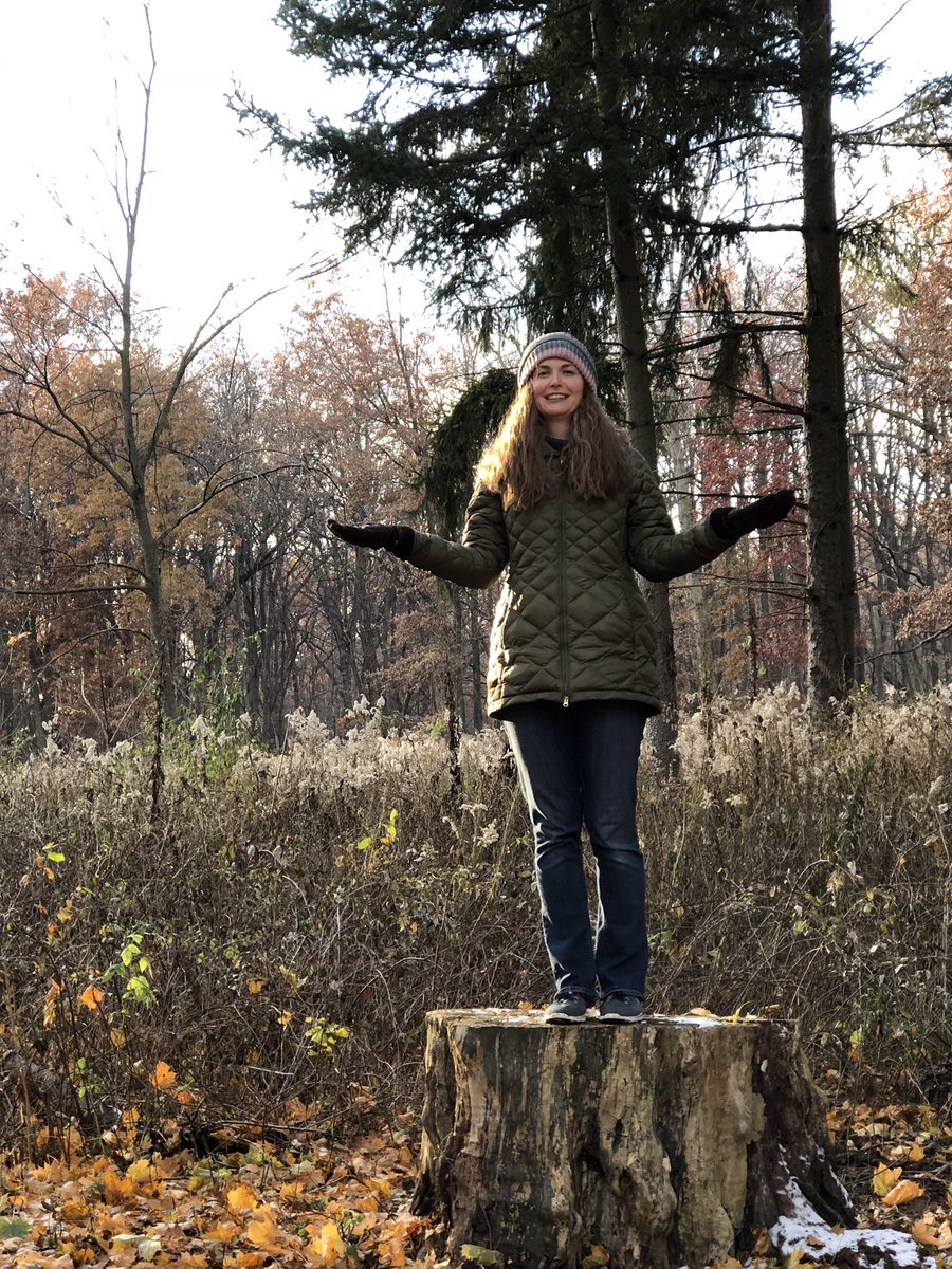 rhughe00's tweet photo. Be very still... #humanbirdfeeder #naturalist #nature https://t.co/TYjO15mZlv