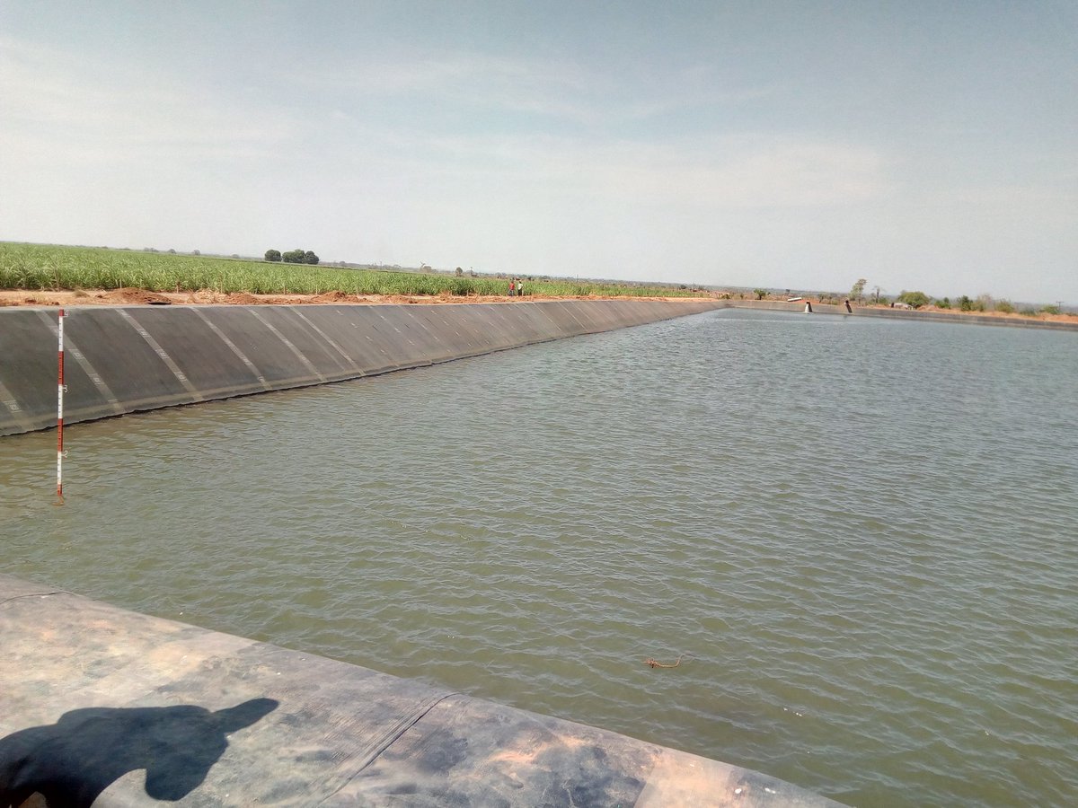 gba_malawi's tweet photo. Water is pumped from the lake into this holding dam before being pumped into the fields at Salima Sugar https://t.co/aQxLhh7D5Y