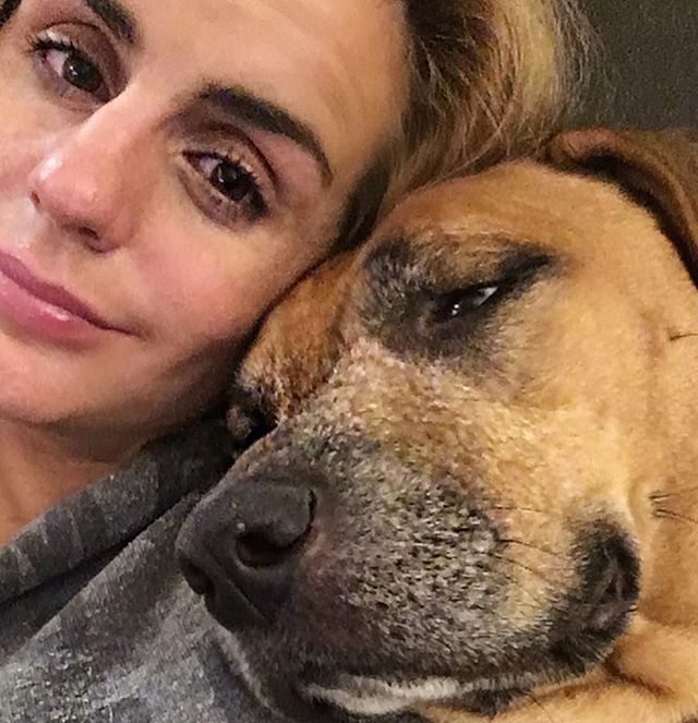 RvaShannon's tweet image. Let’s make a deal, Bruno, I will spoil you forever and ever as long as you stop getting more grey hairs (that’s a lie, I’ll spoil you anyway). #stopaging 💔 #brunothebrute ift.tt/2PqZlKC