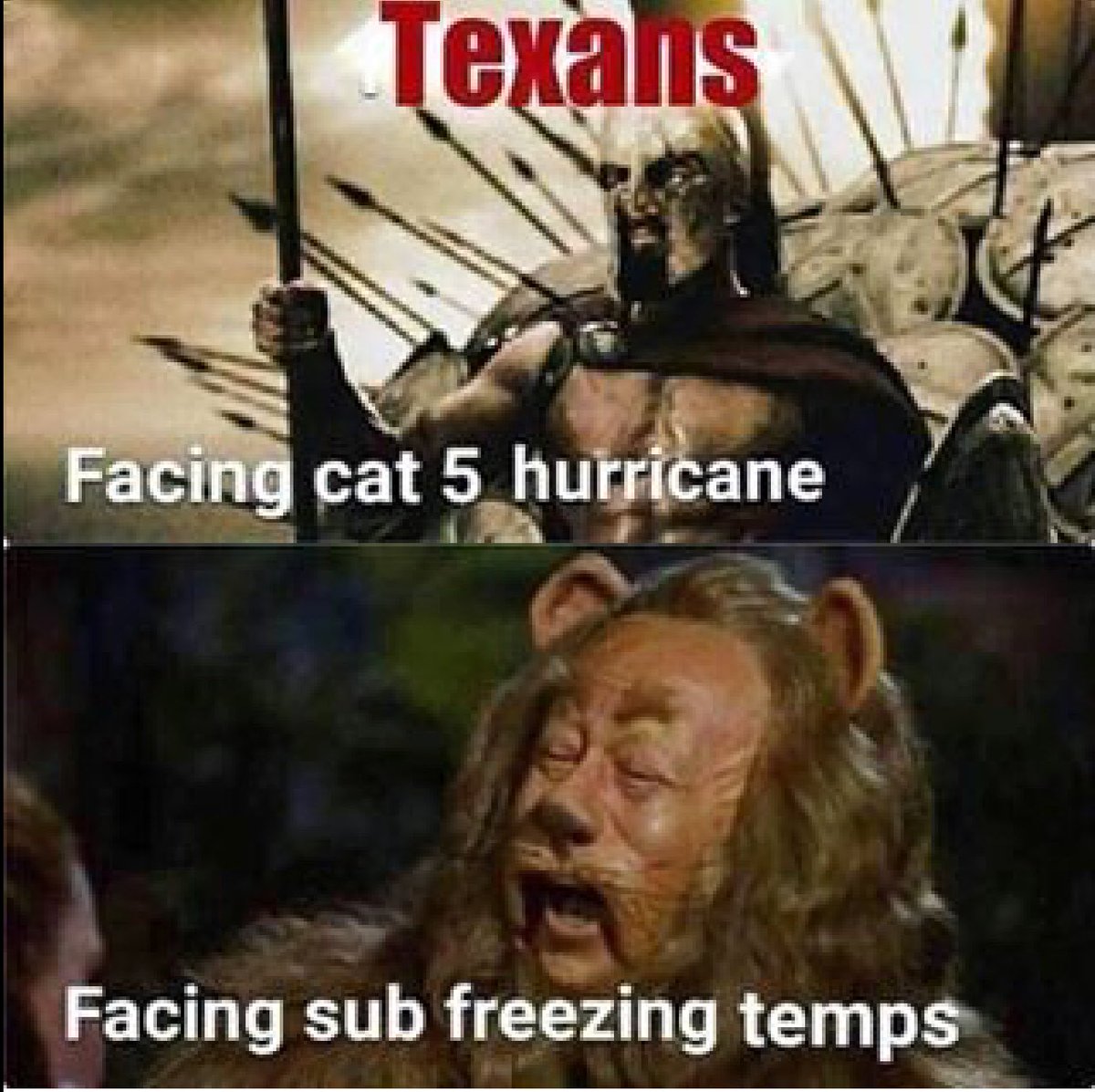 monique_nelson's tweet photo. #accurate #texas https://t.co/5NJH33N2JM