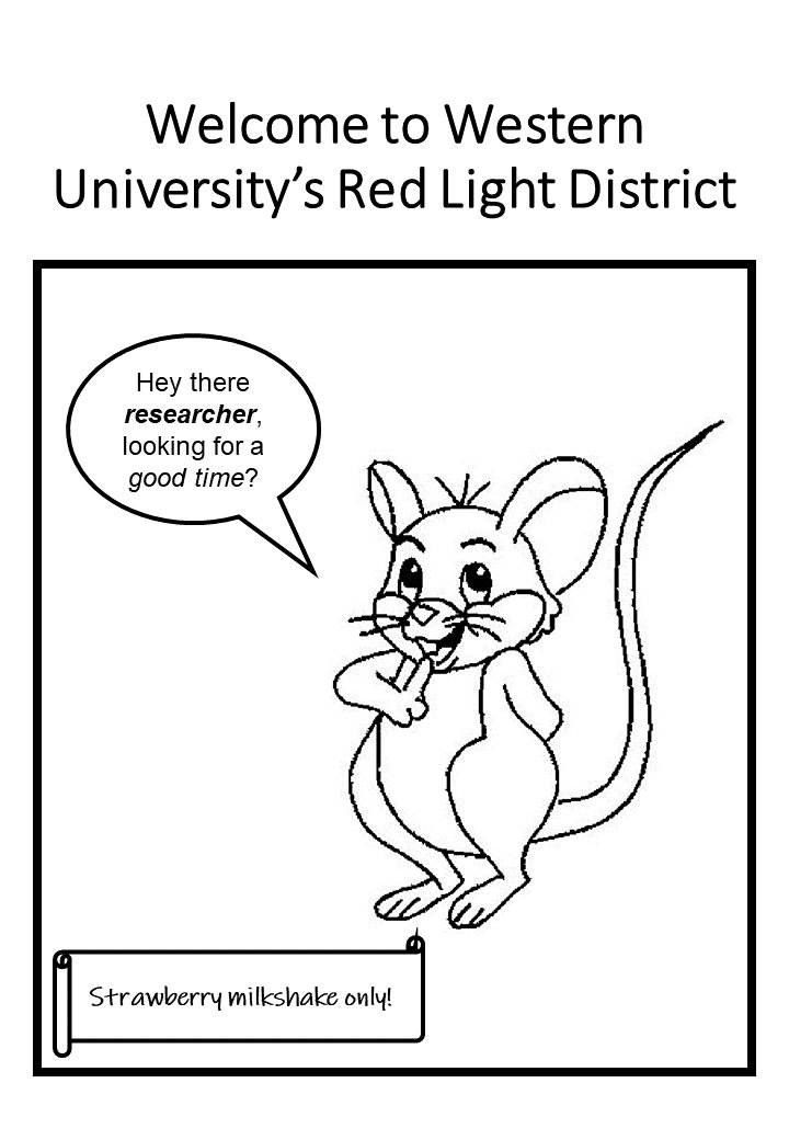 JulieRDumont's tweet photo. Two important things in the lab:  1) consider the species you are working with to optimize obtaining quality behavioural data, and 2) lab moral is boosted with humour.  These are both aspects of my job that love.  #TCNLab is #WesternUniversity  #redlight district (#reversecycle) https://t.co/1gKFN8YCd5