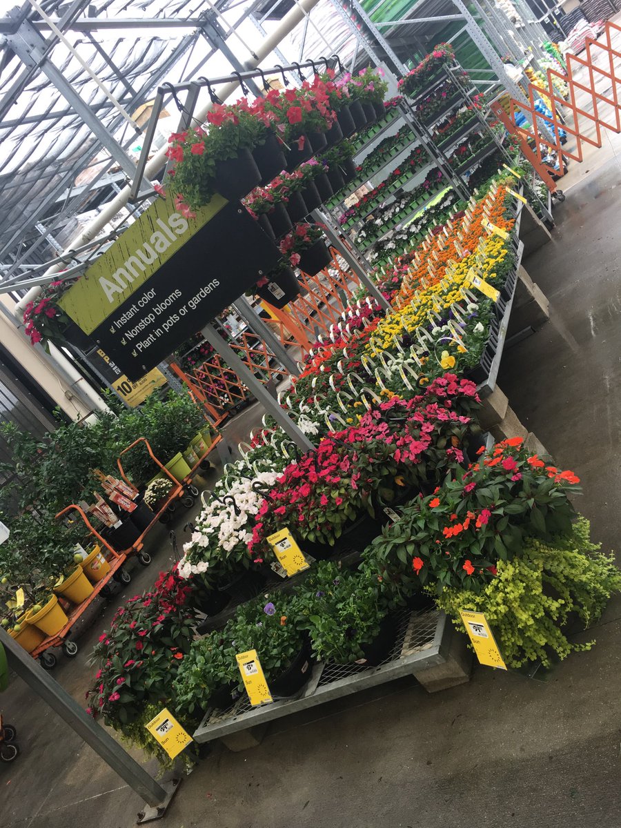 Busy Wednesday here in #homedepot #hd6369 #happycustomers #fallready #market14 #gardencaptain #fallcolors @PBFmedia <a href="/bjryan3/">bj ryan</a>