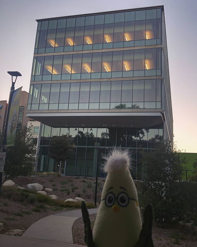 franknfoode's tweet image. TATA Hall at @ucsandiego is shaped like a box. It&apos;s a TATA Box!! That&apos;s awesome. #geneticarchitecture Hey, am I the only one who thinks it should be pronounced &quot;TADAA&quot;?! A great day learning about new #GenomeEditing developments.
