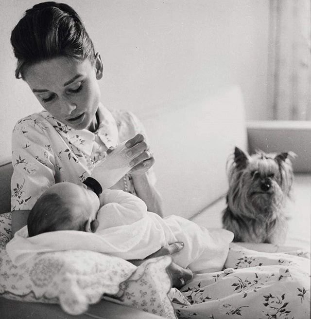BubNames's tweet image. Audrey Hepburn feeding her newborn son, Sean Hepburn Ferrer, with Mr. Famous. Photo: Richard Avedon, 1960 .. #history #enternetics #viralnetics #audreyhepburn #kids