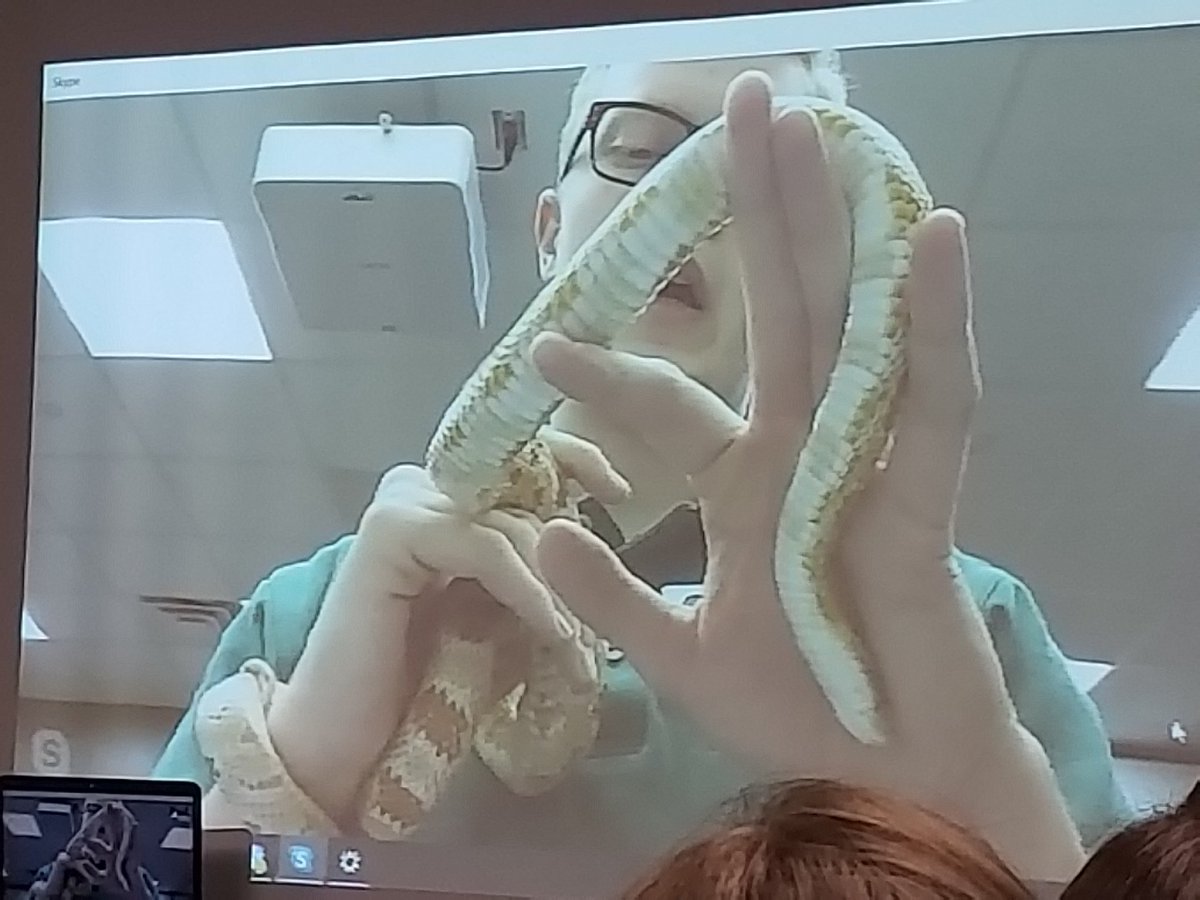 _dntaylor's tweet image. Not sure all of us are excited about learning about snakes. @beanmuseum @randysfox