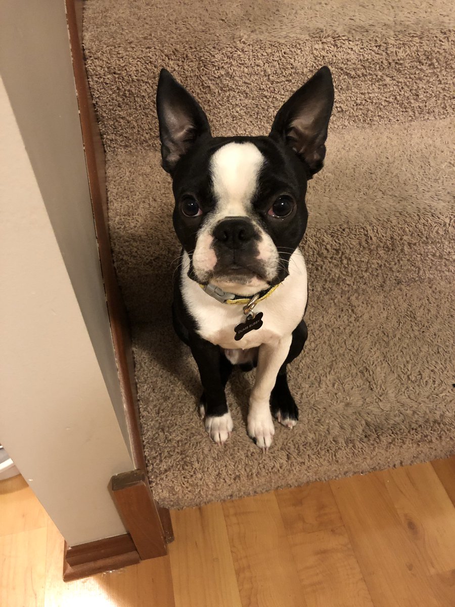 Aaron Pendergast (APen102) Twitter