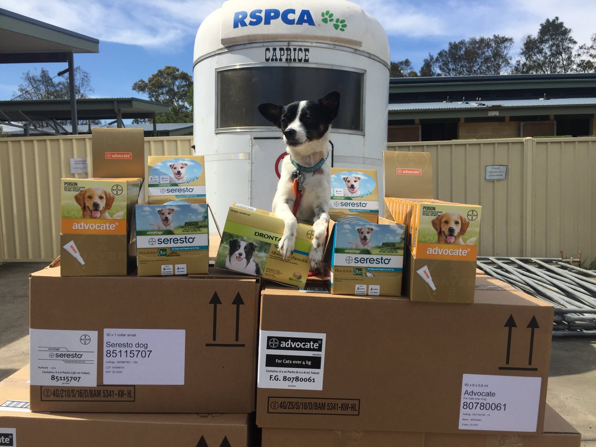 RSPCANSW's tweet photo. Look at what just arrived! @Bayer4Animals have come onboard as a major corporate partner with RSPCA NSW and will be supplying all 🐶 and 🐱 in care with #Advocate and #Seresto for the next 12 months! Thanks guys! https://t.co/XLY2ll5kUd