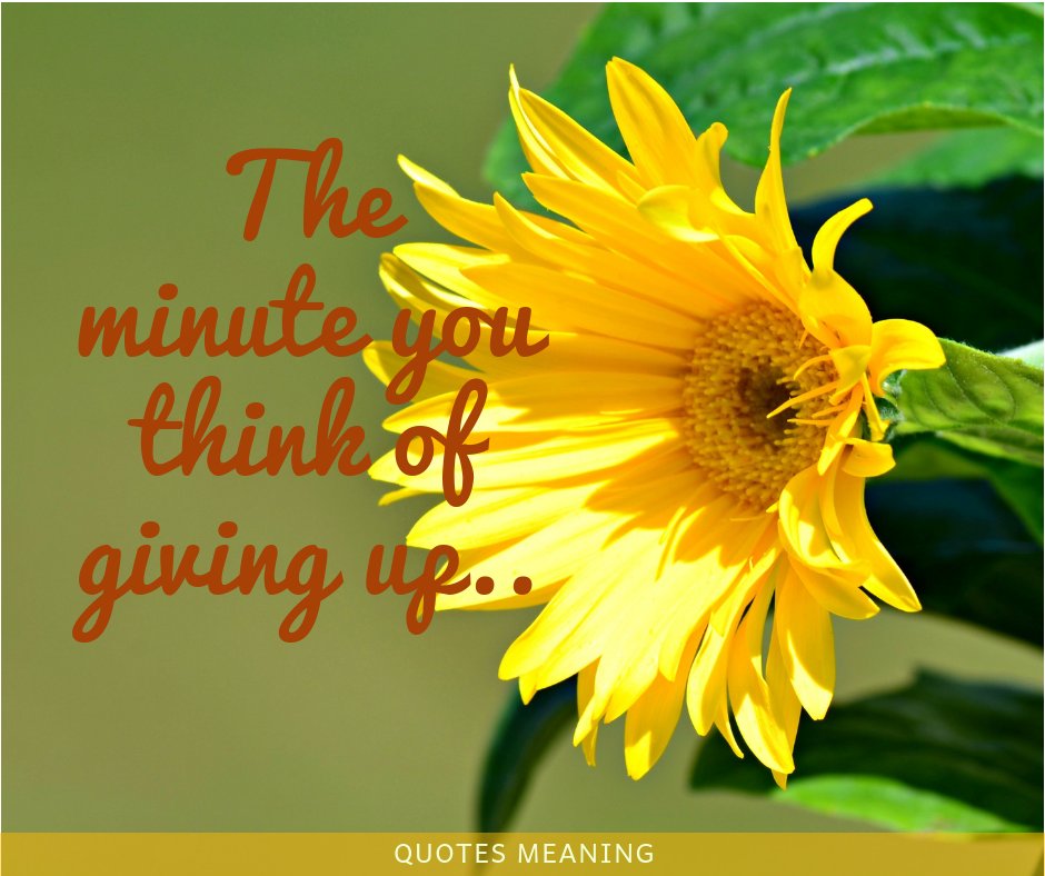 quotesmeaning18's tweet photo. Giving back involves a certain amount of giving up....
#givingup #GivingUp #givingupsnotanoption #givingupisnotokay #givinguponyou #GivingUpIsNotAnOption #givingupiseasier #GivingUpIsLosing#givingupquotes #givingupisntanoption #choice #love  #new #starts #life #scared https://t.co/a93KVsKMTN