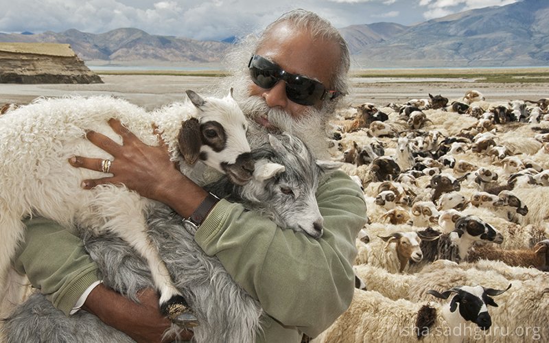 SadhguruJV's tweet photo. My whole life is devoted to every human being, every creature on the planet. Devotion is just a deeper love affair. #SadhguruQuotes https://t.co/5NlYUaZsq9