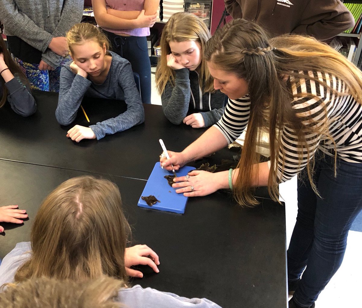 morgancuthbert's tweet photo. We were visited by Liz Johndrow from UNE heading up their kelp research. She helped us spore sugar kelp and then calculate the sporing density looking through microscopes. #handson #ConnectC2C @MAINETOY @YarmouthHMS @Milken https://t.co/G8iL2Lf1zT