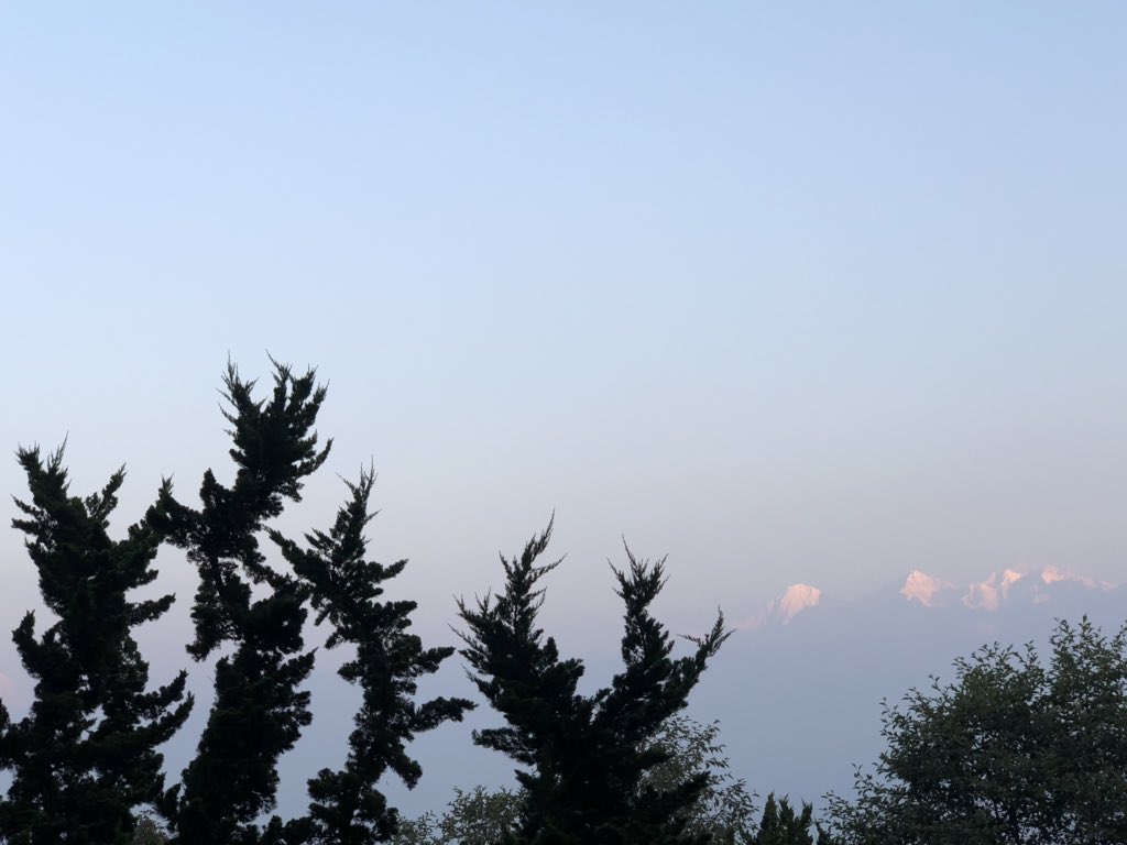 TBS Eco-Schools tweet media