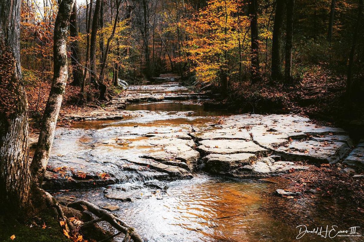 Clarksville_CVB's tweet photo. #bestoffall π·: Donny Evans https://t.co/WdpwPIlBvW