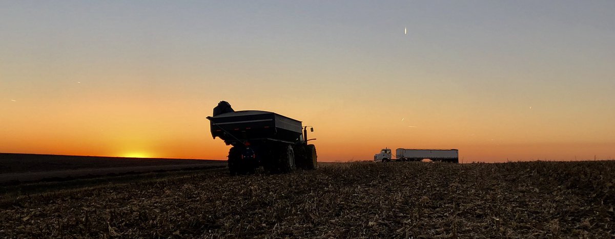 AgAdvisorNic's tweet photo. Beautiful Nebraska #Harvest18 sunset. #DEKALB 68-26 consistently yielding big in @frontier_coop’s #UltimateAcreSystem portfolio! @Asgrow_DEKALB @DKAS_Nebraska @Kinze @kkaslon @TrezacTyler @McrellChris https://t.co/S4QtZQ9wm5