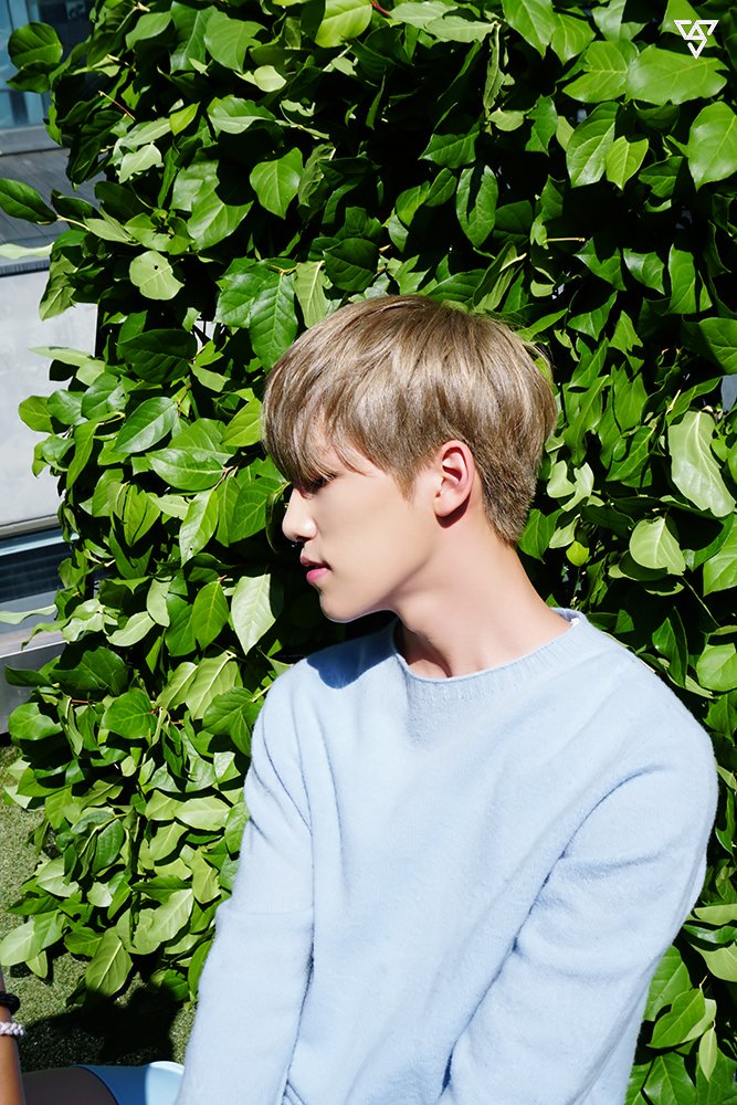 171115 [Starcast] Seventeen 2nd Album Jacket Shooting Behind
❤❤❤❤❤❤❤
#이찬 #디노 #DINO 
#ディノ #세븐틴 #SEVENTEEN
➡m.entertain.naver.com/read?oid=420&a…