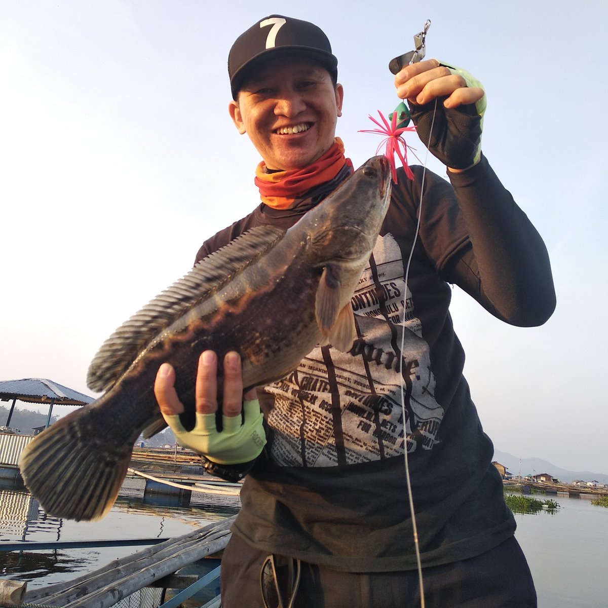 Fosilanglers's tweet photo. #ChannaMicropeltes #abnormalanglers https://t.co/KDRRt882Uq
