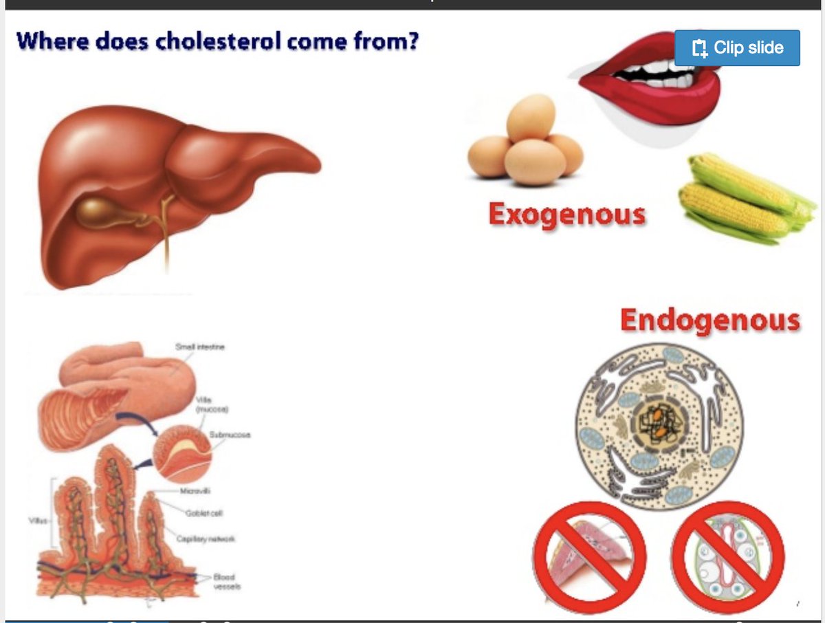 epub molecular signaling and regulation