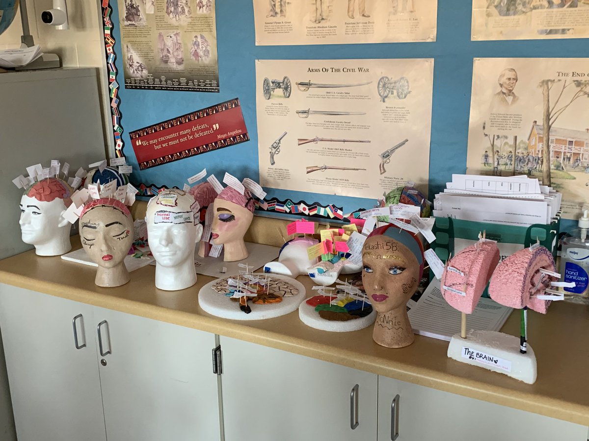 BSKUPS's tweet photo. Love my AP Psych students big, intelligent, beautiful brains! You are all amazing and I am so proud of you! #amazingbrains @BulldogLife_WHS #D118 #brainsandbeauty #whatsgood #psychrules https://t.co/ZilbOH7dC4
