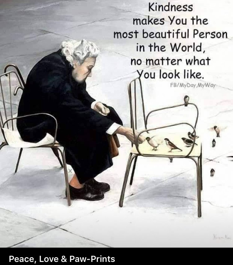 Chrishainswort2's tweet photo. #selfworth #integrity #morals #honesty #love #care #values 

#letsgetbacktobasics https://t.co/oALNqwGAoI