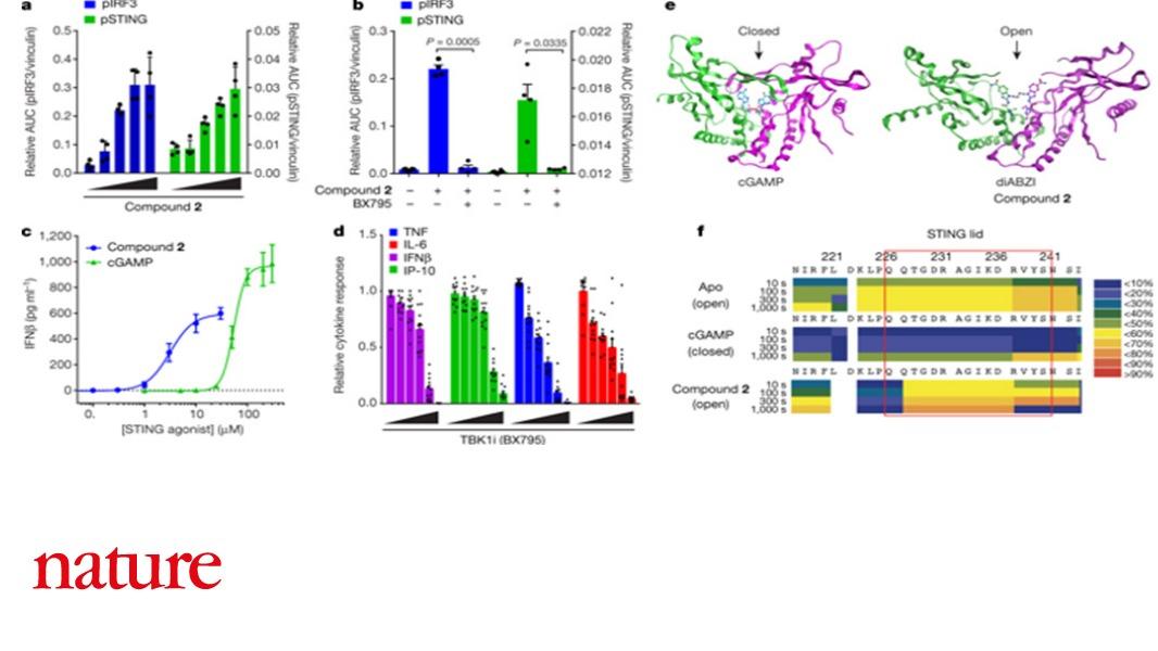 NaturePortfolio's tweet photo. A potential new class of immunotherapy drugs to treat some of the most common cancers is reported in Nature. The study shows how these molecules work and what they might mean for the future of cancer treatment. https://t.co/pBk7YvNdU9 https://t.co/E18sMmWKBM
