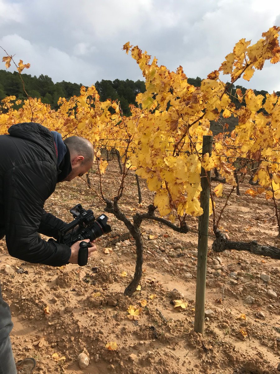 oneproduccions's tweet photo. Seguimos en #Gandesa en el rodaje del vídeo corporativo y documental del @coopgandesa en motivo del centenario de la coperativa de Vino de #Gandesa con @bluverdcom #fansDOTerraAlta #LookLikeOne #bluverd #festadelvigandesa #terresdelebre #reservadelabiosfera https://t.co/BZ0yXzR9lF