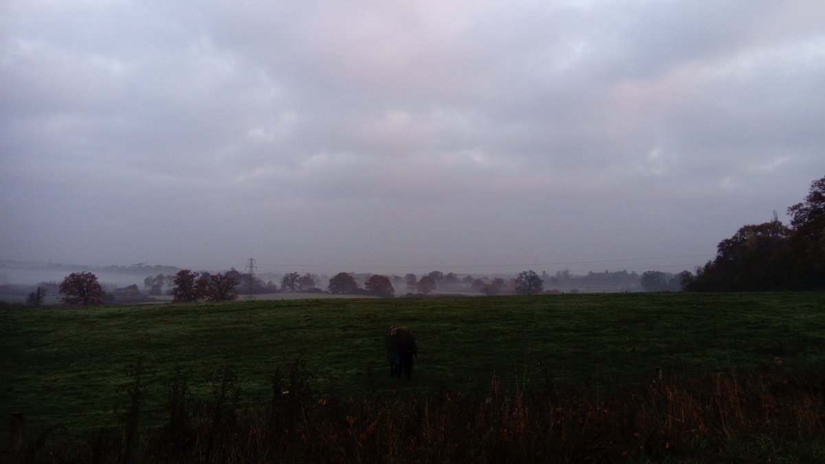 AndrewSalisbur2's tweet photo. Misty autumnal morning #mountainbiking commute, day off to a good start. #Dorking to @RHSWisley views of #ockhamcommon https://t.co/BDTZ3n6AJD