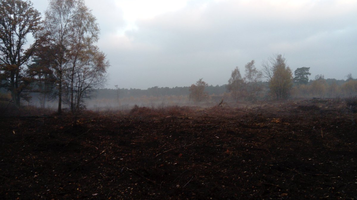 AndrewSalisbur2's tweet photo. Misty autumnal morning #mountainbiking commute, day off to a good start. #Dorking to @RHSWisley views of #ockhamcommon https://t.co/BDTZ3n6AJD