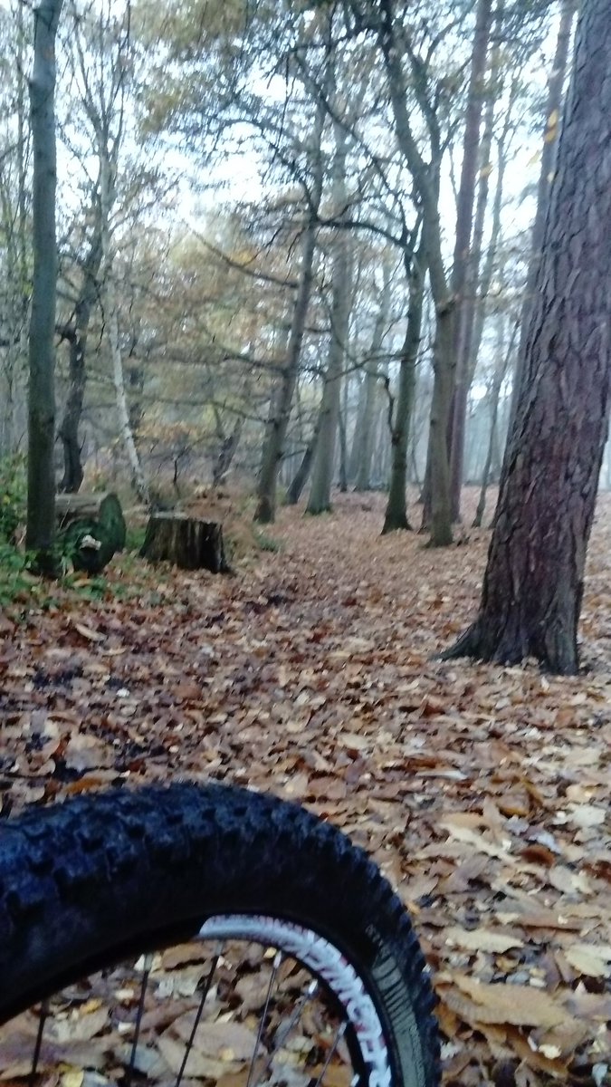 AndrewSalisbur2's tweet photo. Misty autumnal morning #mountainbiking commute, day off to a good start. #Dorking to @RHSWisley views of #ockhamcommon https://t.co/BDTZ3n6AJD