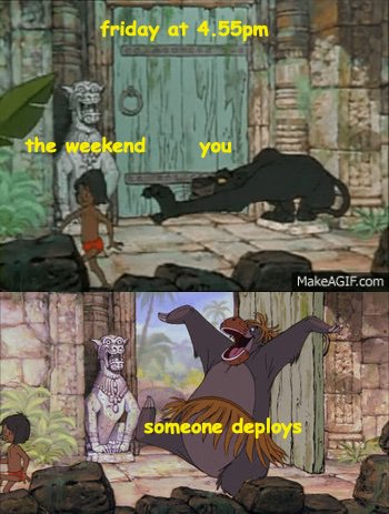 every single week
